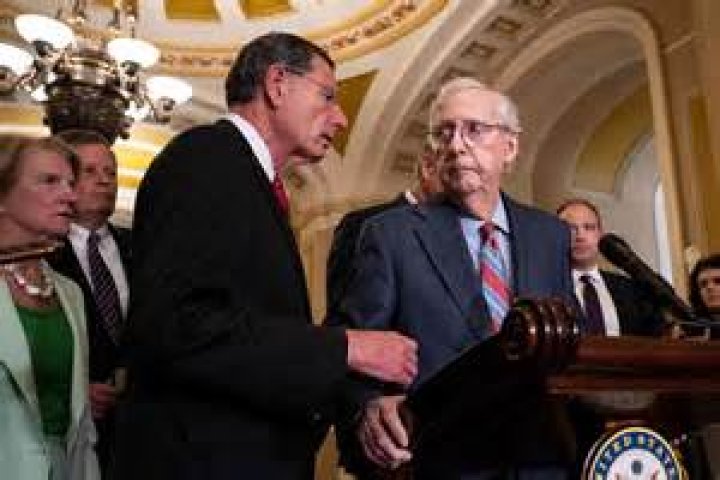 Who is Senator Mitch McConnell's exwife, Sherrill Redmon? The US Sun