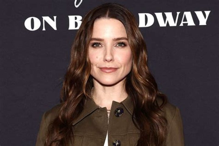 Who is Sophia Bush's estranged husband, Grant Hughes? The US Sun
