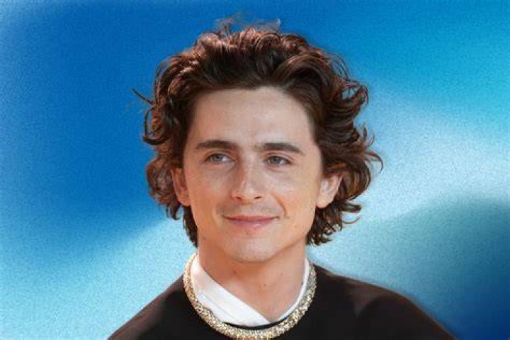 Who Is Timothee Chalamet? 5 Things to Know About the Actor Us Weekly