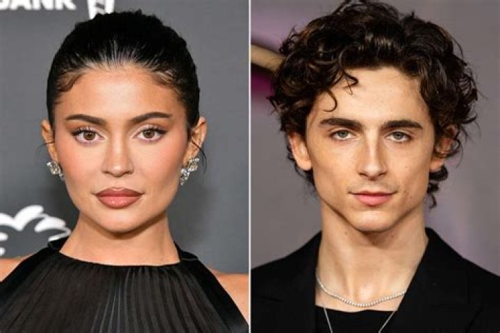 Who Is Timothee Chalamet S Father Marc Chalamet Bio A vrogue.co
