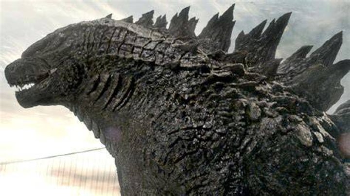 Who Is Zach Shields, Godzilla King of the Monsters's Producer? Starsgab