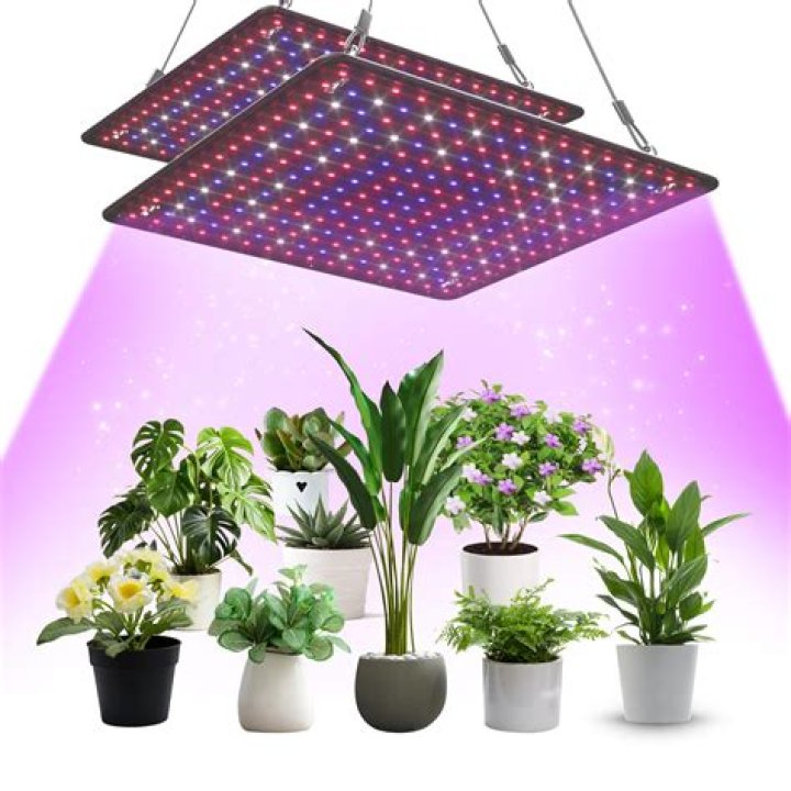 Wholesale Best Led Grow Lights Uk 2018 HORTLITE GL01 650W