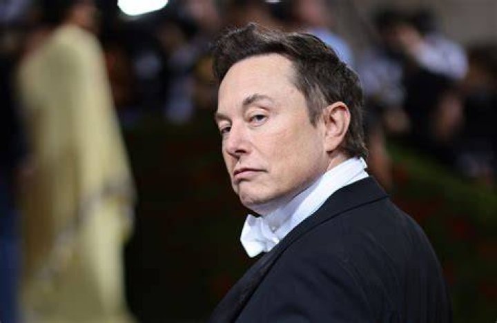 Why Did Elon Musk Buy Twitter and Rebrand It to X? Profolus