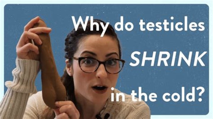 Why do testicles shrink in the cold? menshealth testicles YouTube