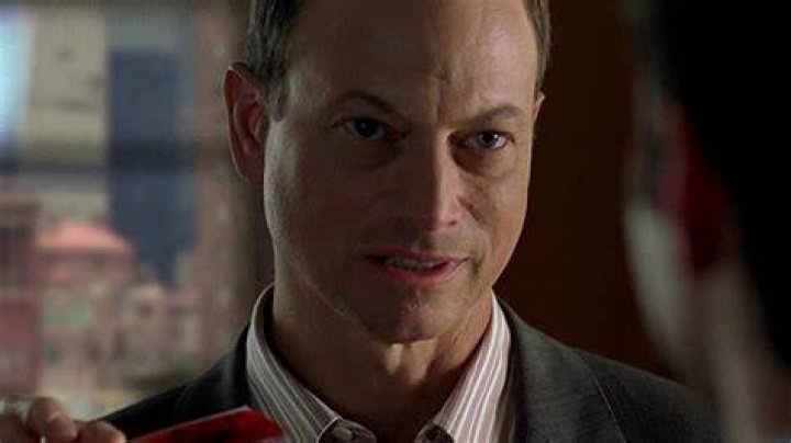 Why Mac Taylor From CSI NY Looks So Familiar