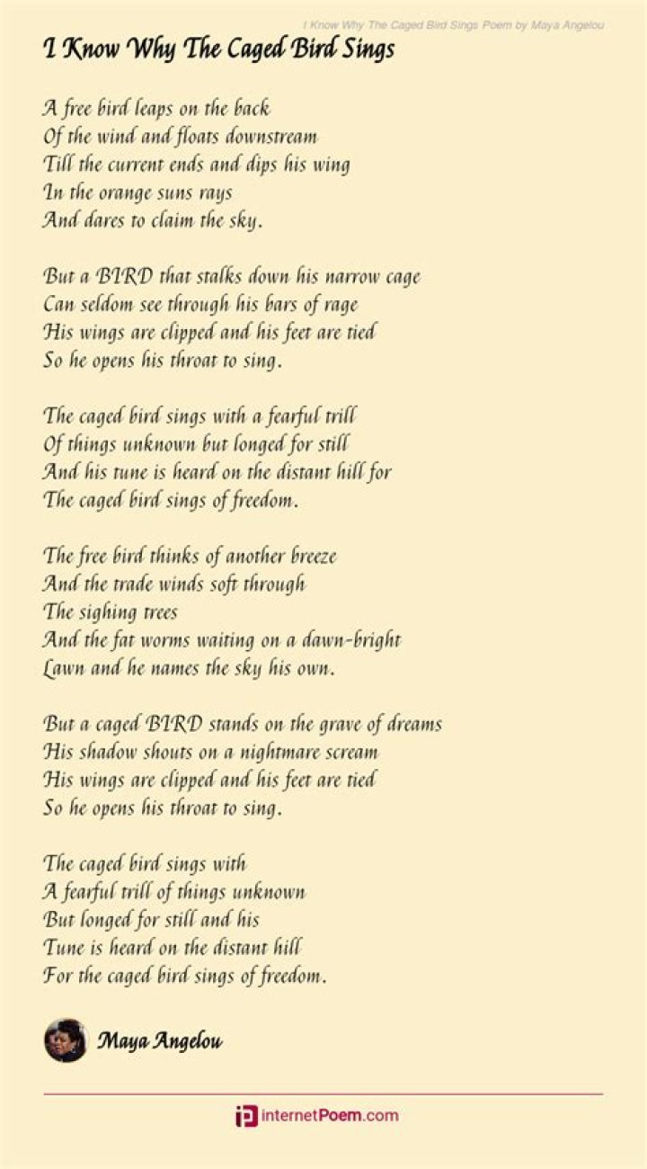 Why The Caged Bird Sings Poem Ysis