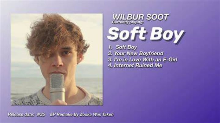 Wilbur Soot Is My Gay Lover (Peng O'Neil) on Twitter "Why don't you