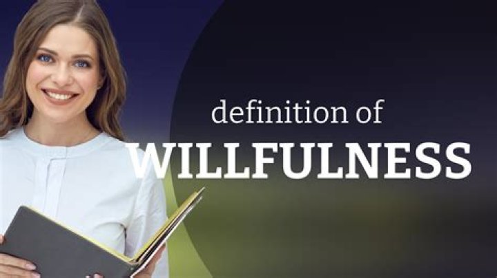 Willfulness Meaning YouTube