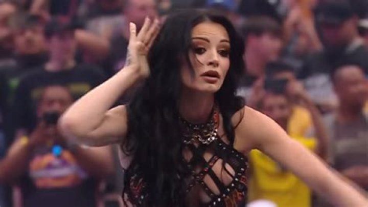 WWE Diva Paige in Stylish Outfit