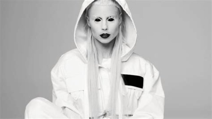 Yolandi Visser Net Worth 2024, Bio, Career The Frisky