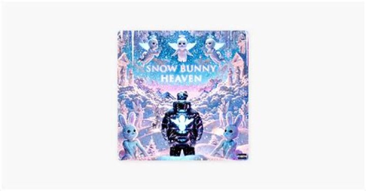 yungcameltoe Snow Bunny Heaven Lyrics Genius Lyrics
