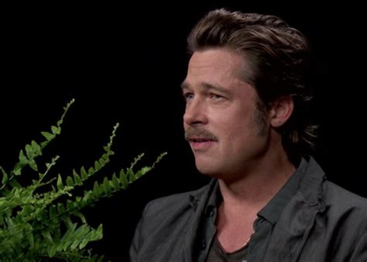 Zach Galifianakis takes down Brad Pitt in 'Between Two Ferns' interview
